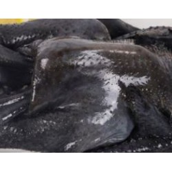 Marios Poultry and Game Birds