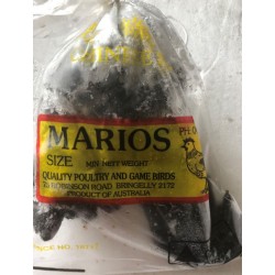 Marios Poultry and Game Birds
