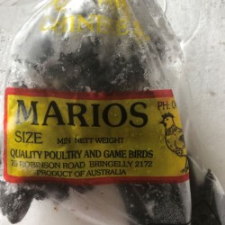 Marios Poultry and Game Birds