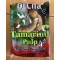 OCha Tamarind Pulp 454g