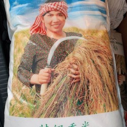 Golden Worth Jasmine Rice 25kg 