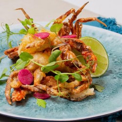 333 Brand Frozen Soft Shell Crabs 120/150