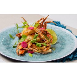 333 Brand Frozen Soft Shell Crabs 120/150