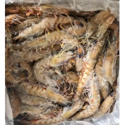 Blue King Green Prawn U/15 5kg