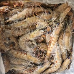 Blue King Green Prawn U/15 5kg
