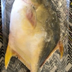Frozen Golden Pomfret