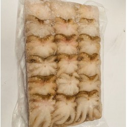 Baby Octopus Fully Cleaned Size 16/25 1kg/bag