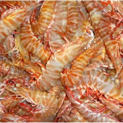 Australia Frozen Tiger Prawn Size 10-15 5Kg 