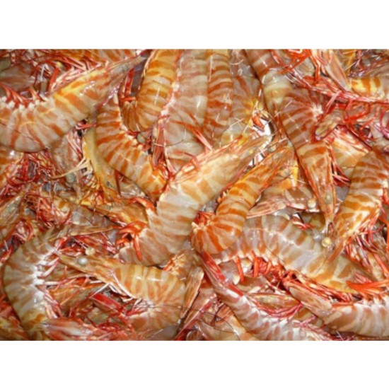 Australia Frozen Tiger Prawn Size 10-15 5Kg 